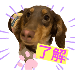 RINA_20210117151900