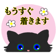 The person who likes a black cat