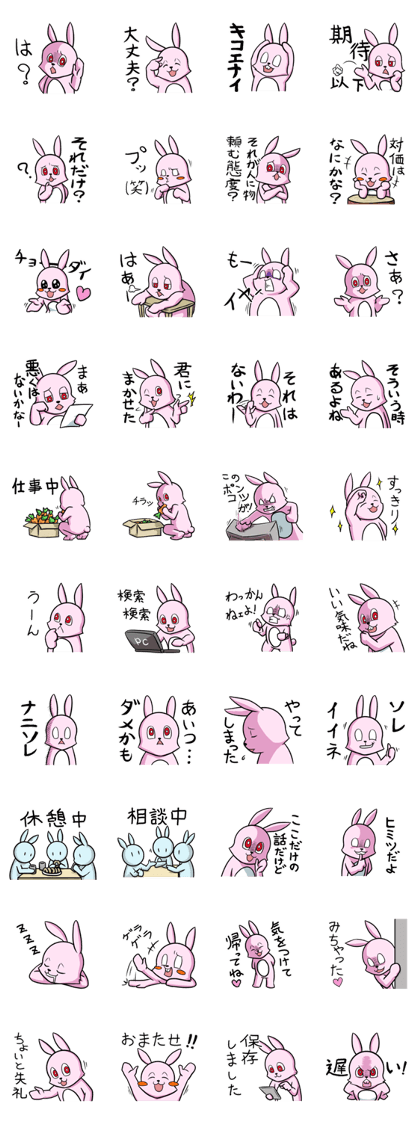 Cute belly black rabbit part2