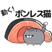 Moving Plump cat