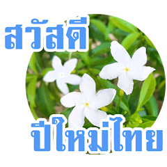 อวยพรปีใหม่ไทย กับสวนดอกไม้สวย