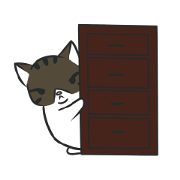 stray cat Fei Fei