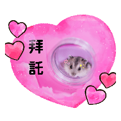 跑跑一日老闆