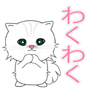 Cute moving Kitten