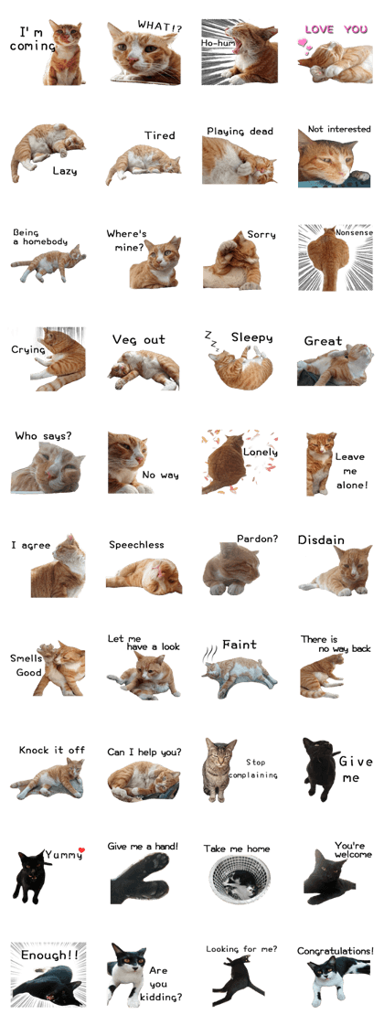 Fat Cat Save World(Ver. English)