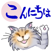Iroha cats part.3