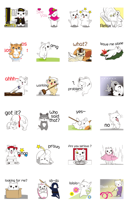 The daily routine of cats