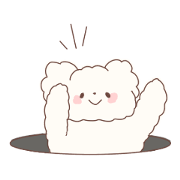 Cotton 100%