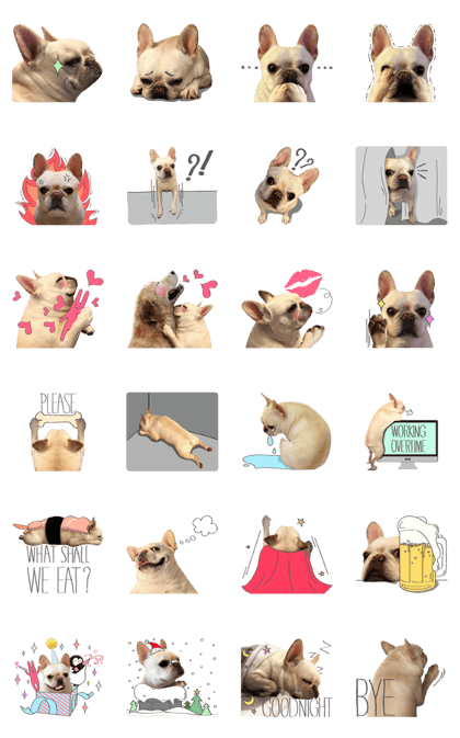 French Bulldog-Puni II
