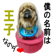 Prince Pekingese