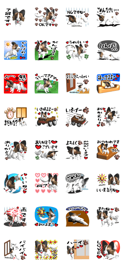 Do you like Papillon of dog?