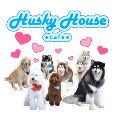 Husky House Cafe