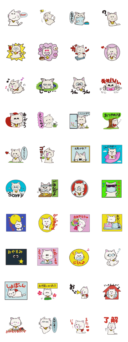 whit cat