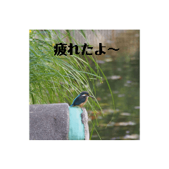 hana_20210117212054