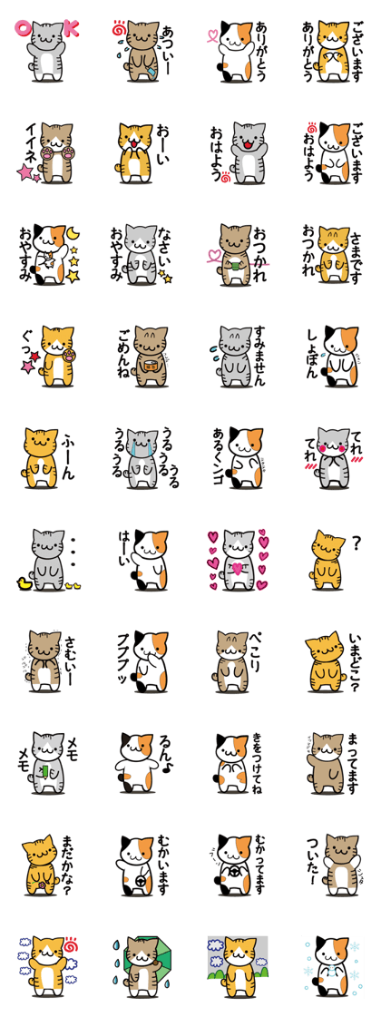 Calico cat and tabby cat