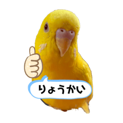 melon_20210117220236