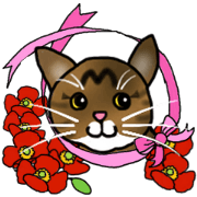 CHAPI the Cat
