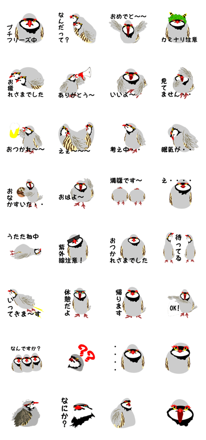 cute Chukar partridge
