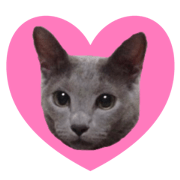 DEAR KIKI