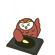 Eye big owl