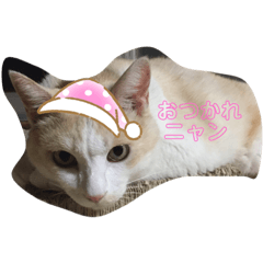 Rina_20210118085246