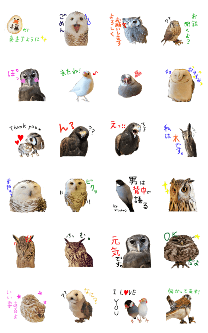 owl sticker sapporo 2