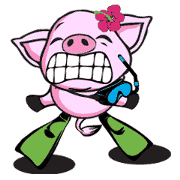 snorky