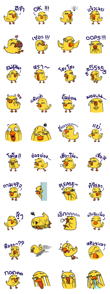 TidChung Duck