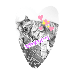 Takashi_20210117220918