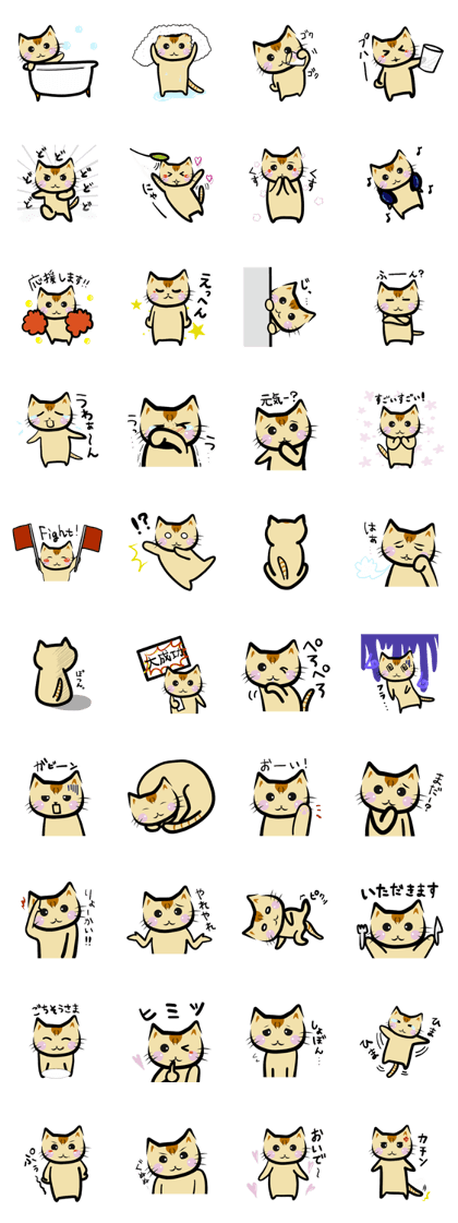 Daily ScoCat #4