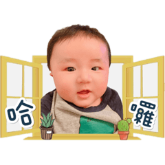 小蝦米的成長❤️️