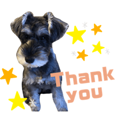 hikari_20210117221926