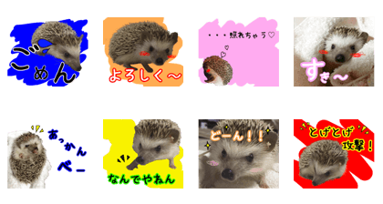 hedgehog mitarashi 2