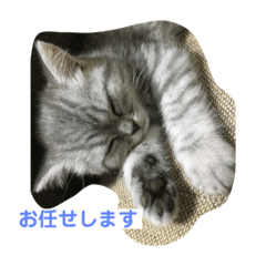 Takashi_20210117224441