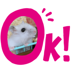 omochi_20210117222603