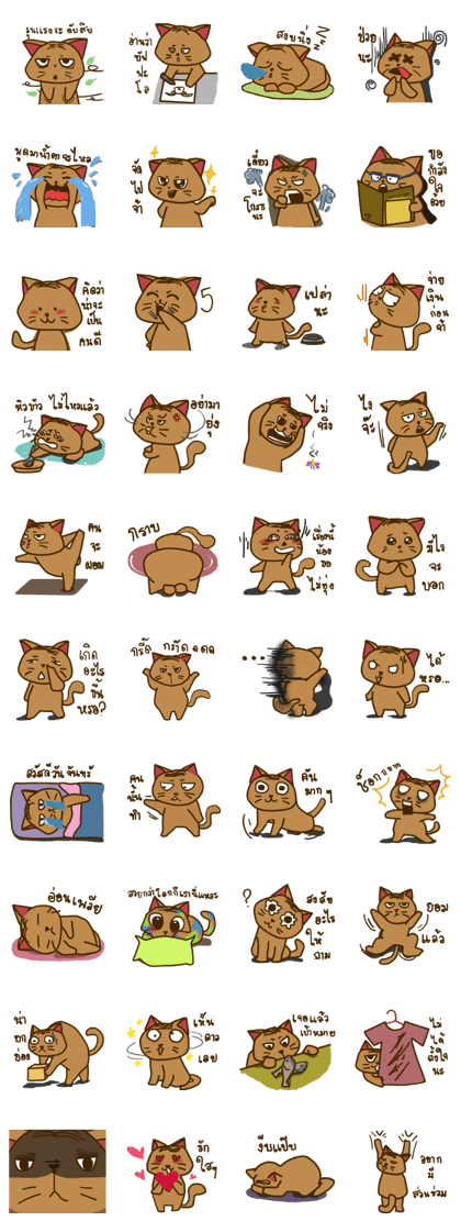 Moo Krob Cat Bangs