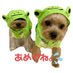 yonsan_20210117225850