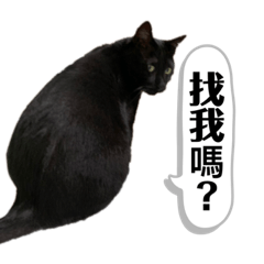 菜家小次郎