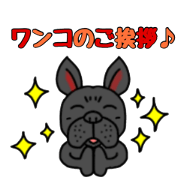French is bulldog