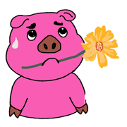 Pig oats ood