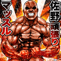 Sano dedicated Muscle macho sticker 2