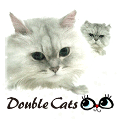 Double Cats咪美雙寶 2