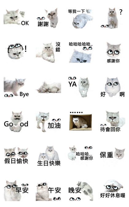 Double Cats 2
