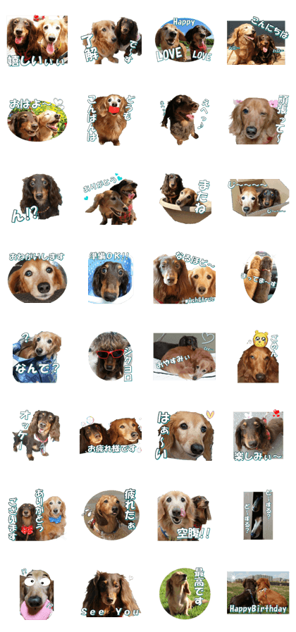 dachshundfan2