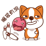 Corgi COCO