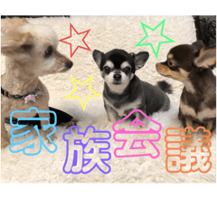 Risa_20210117235716