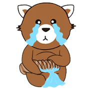 Red Pandas