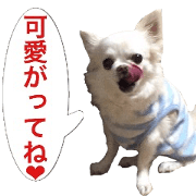 Mr.Thank you and amusing friends 20