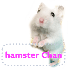 Lovely hamster Chan Mess English 2