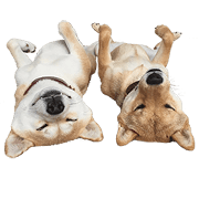 Hana & Ichi